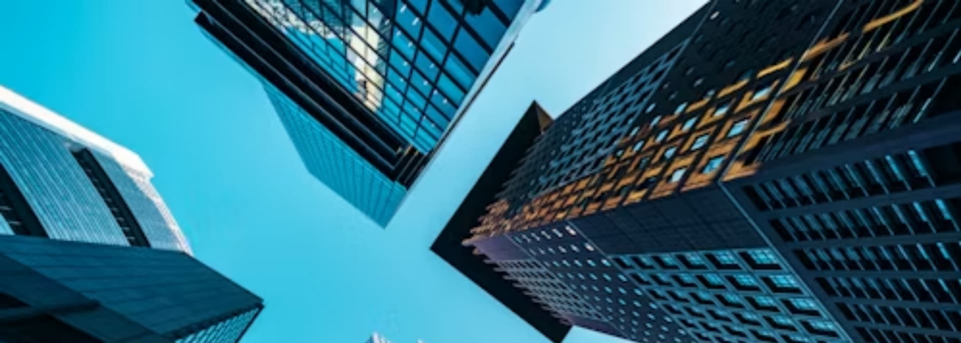 Company Profile